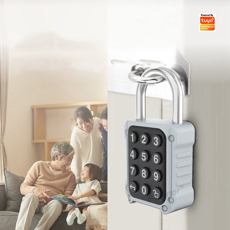 EGFirtor Tuya APP Electronic S - Lockbox Key Secure incelemesi ve fiyatı