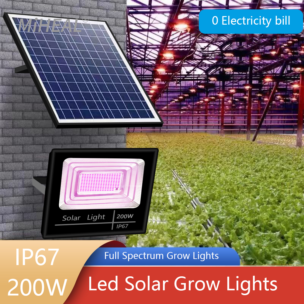 LED Full Spectrum Phyto Lamp 2 - Power Outage Light incelemesi ve fiyatı